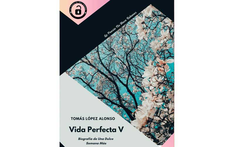 VIDA PERFECTA V