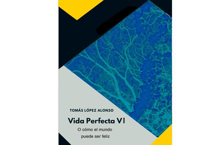 VIDA PERFECTA V