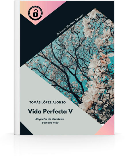 Vida perfecta V